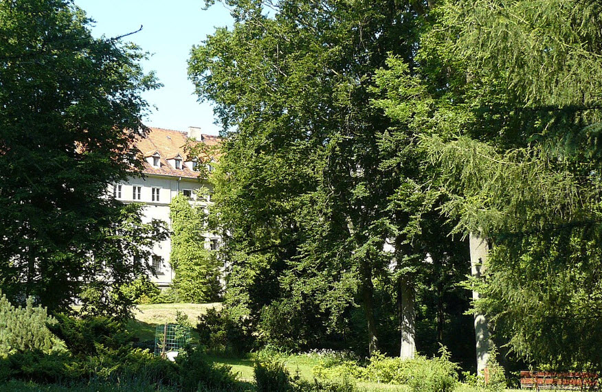 Dendrological Garden of the University of Life Sciences, Poznań, Poland, Poland